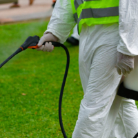 1337186-GM-Fumigaciones-fondo